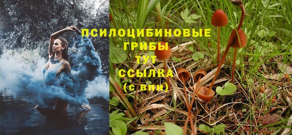прущий лед Вязьма