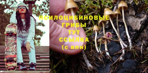 стафф Володарск